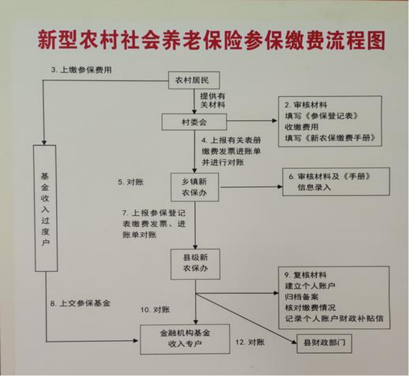 济宁农村医保和社保有什么区别(农村医保跟社保的区别)